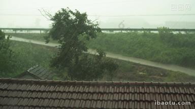 农村窗外台风倾盆大雨瓦片屋顶